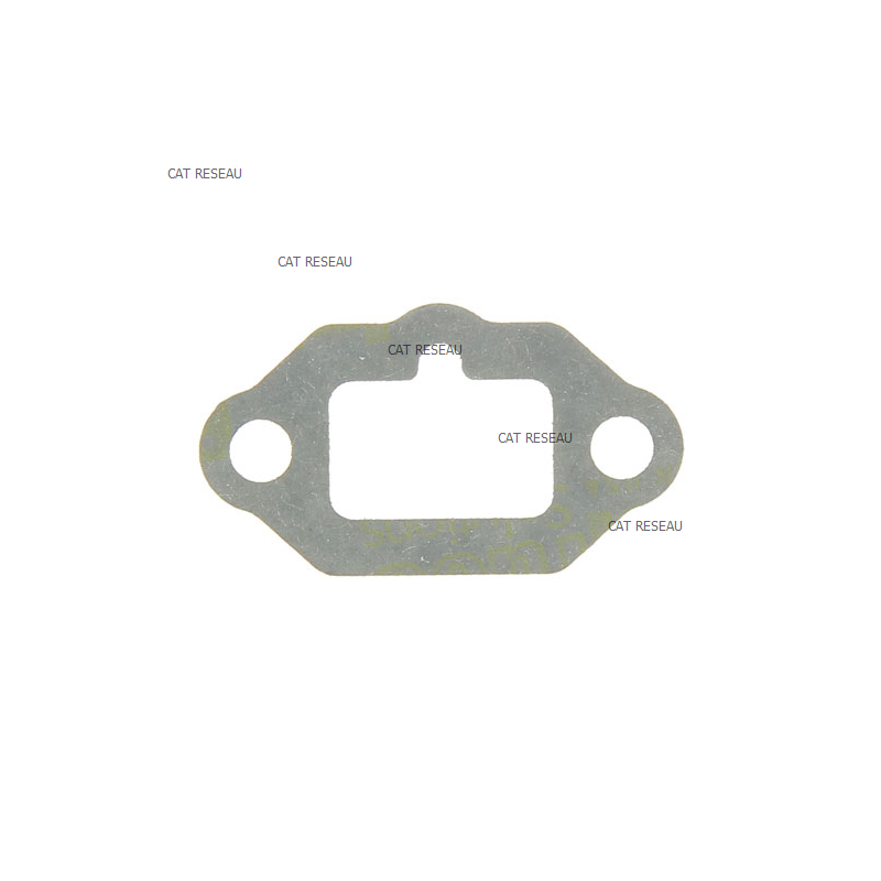 CYLINDER GASKET - ref. 1232800780 | TP Agri