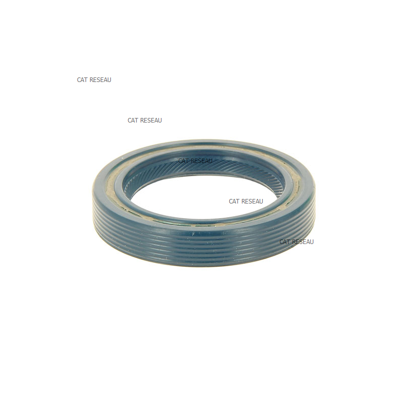 JOINT SPI 38 X 55 X 10 - ref. 010759 | TP Agri