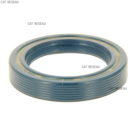 JOINT SPI 38 X 55 X 10 - ref. 010759 | TP Agri