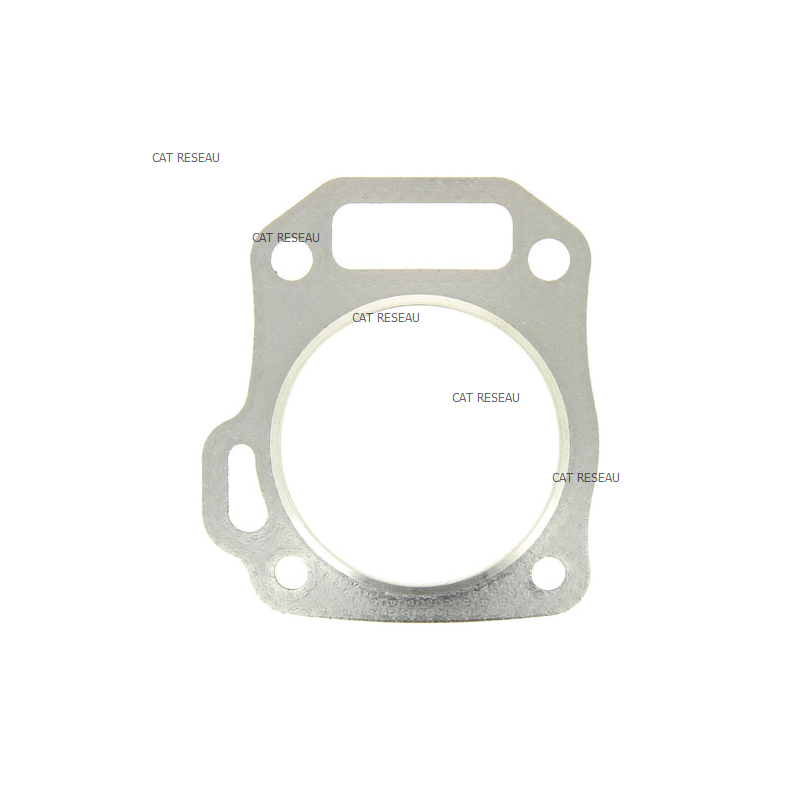 JOINT DE CULASSE HONDA GX160K1/T1 - ref. 12251ZF1801 | TP Agri