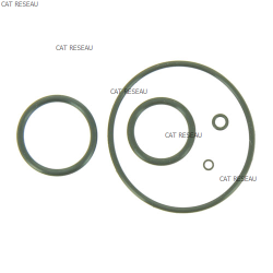 JEU DE JOINTS - ref. 16010ZE5005 | TP Agri