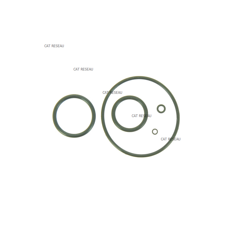 JEU DE JOINTS - ref. 16010ZE5005 | TP Agri