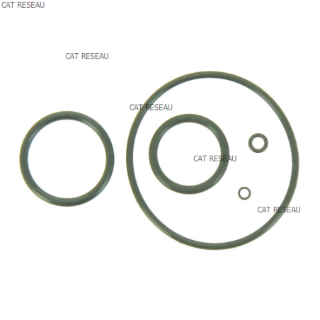 JEU DE JOINTS - ref. 16010ZE5005 | TP Agri