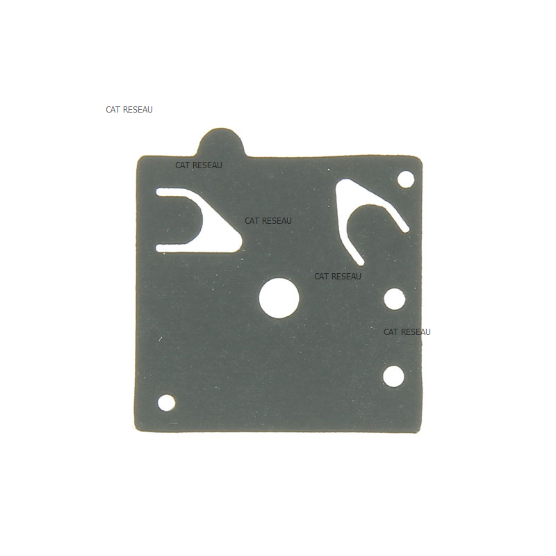 DIAPHRAGME, POMPE - ref. 16014Z0DV02 | TP Agri