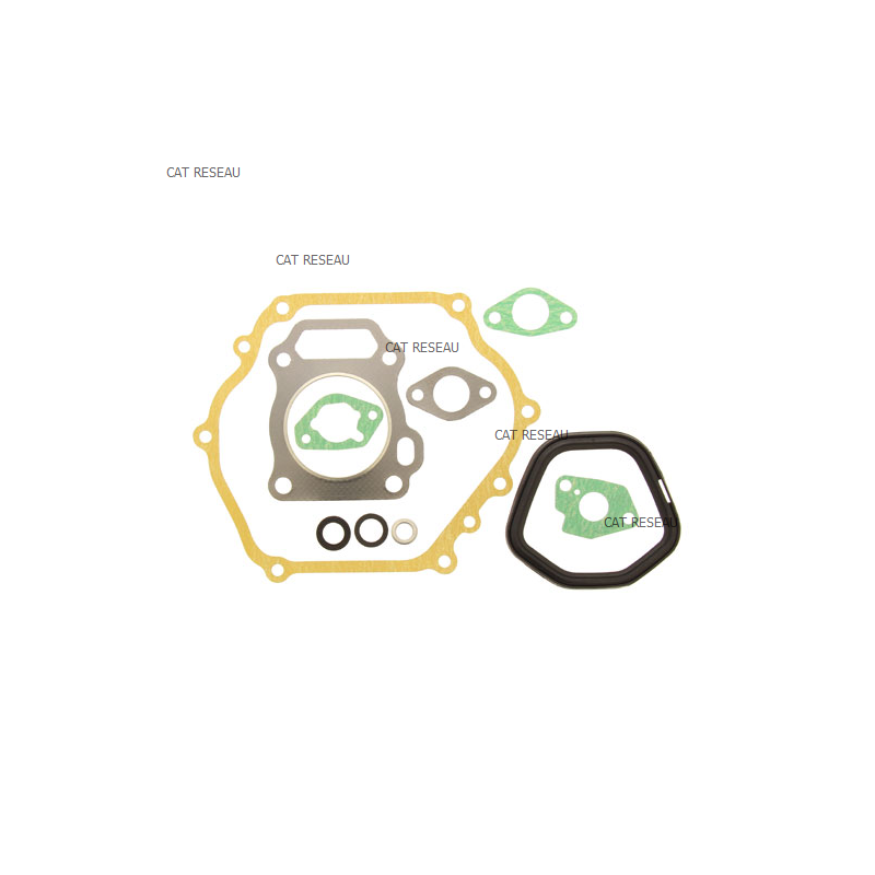 GASKET,KIT - ref. 06111ZE2405 | TP Agri