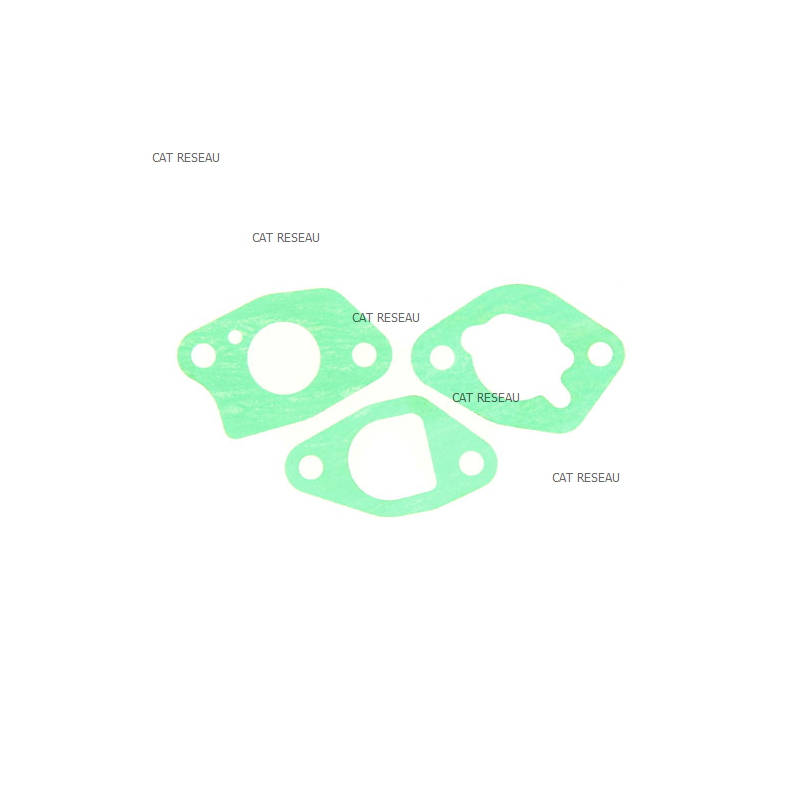 KIT, INTAKE GASKET - ref. 1804106S | TP Agri