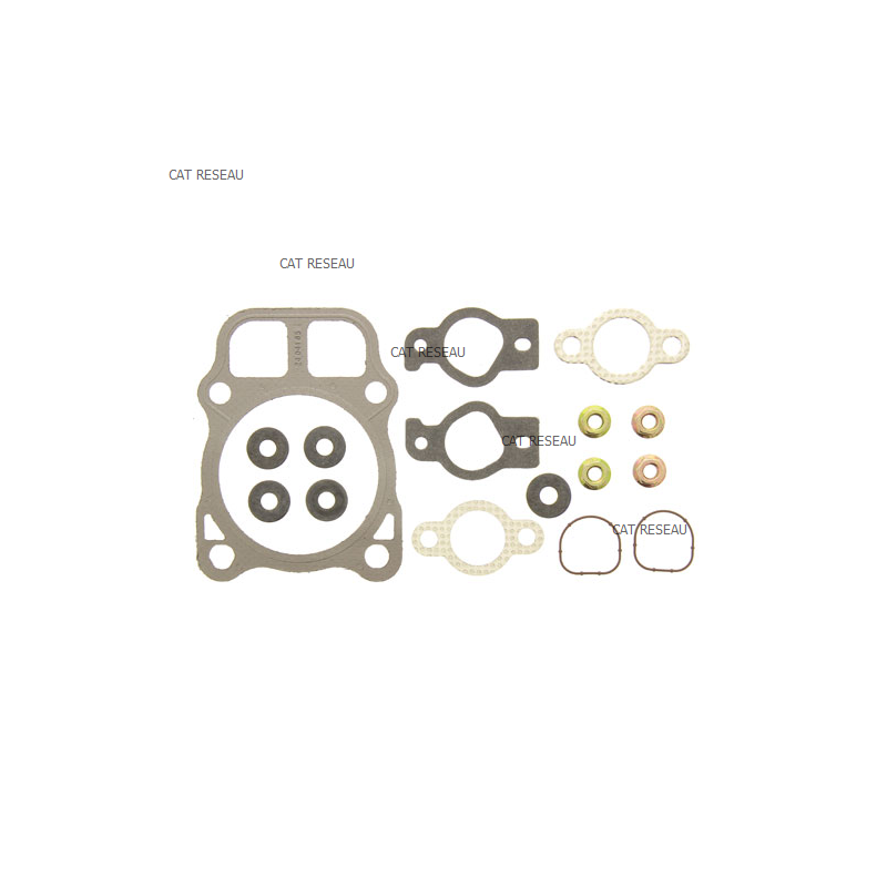 KIT JOINTS DE CULASSE - ref. 2484101S | TP Agri