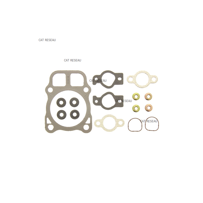 KIT, GASKET CYLINDER HEAD - ref. 2484102S | TP Agri