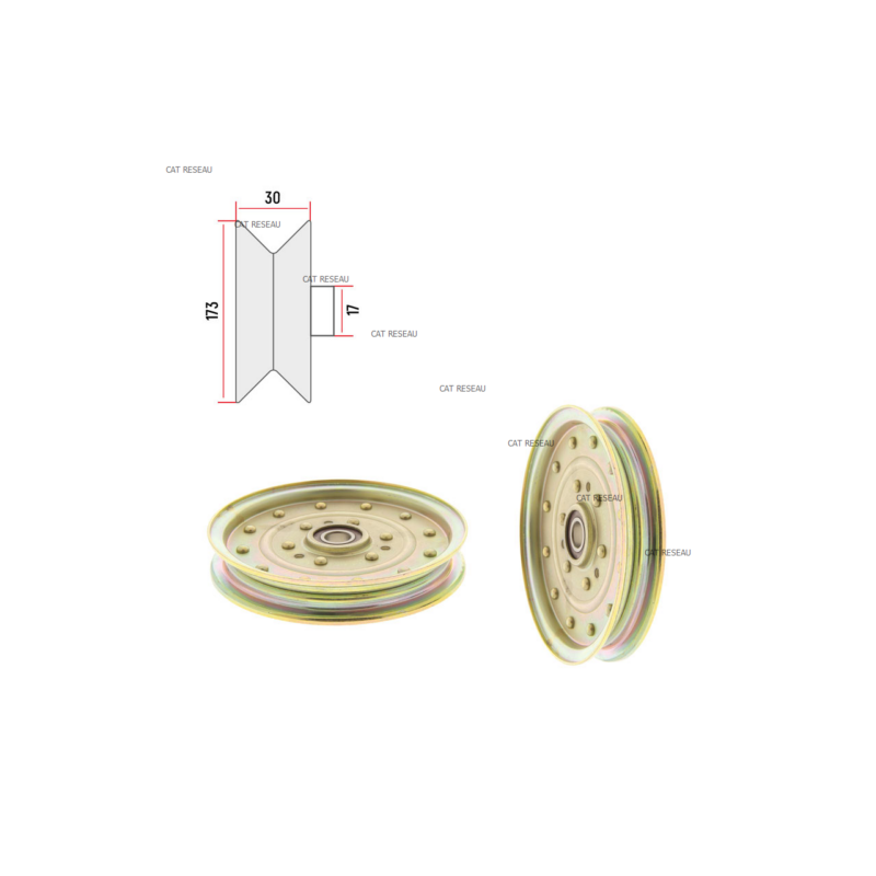 POULIE PLATE - ref. 139864 | TP Agri