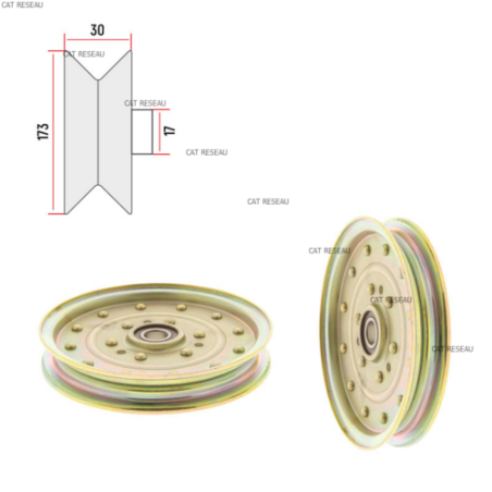 POULIE PLATE - ref. 139864 | TP Agri