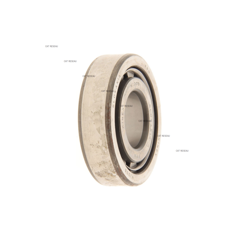 CUSC.RULLI/R.BEARING - ref. 3021029 | TP Agri