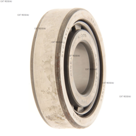 CUSC.RULLI/R.BEARING - ref. 3021029 | TP Agri