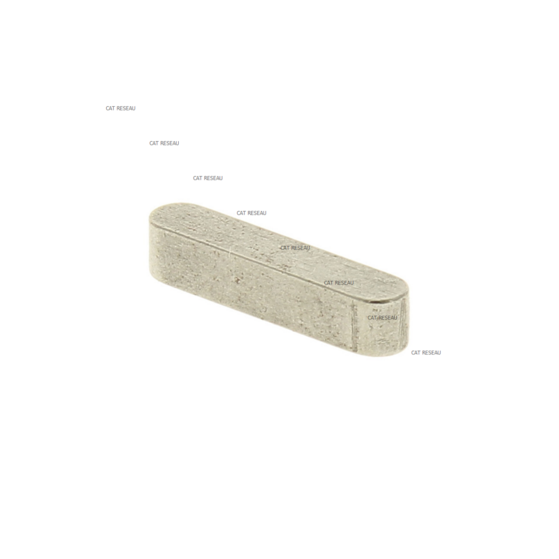 CLAVETTE - ref. 1121394800 | TP Agri