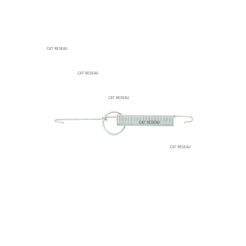 TENSIONING WHEEL SPRING - ref. 1134132201 | TP Agri