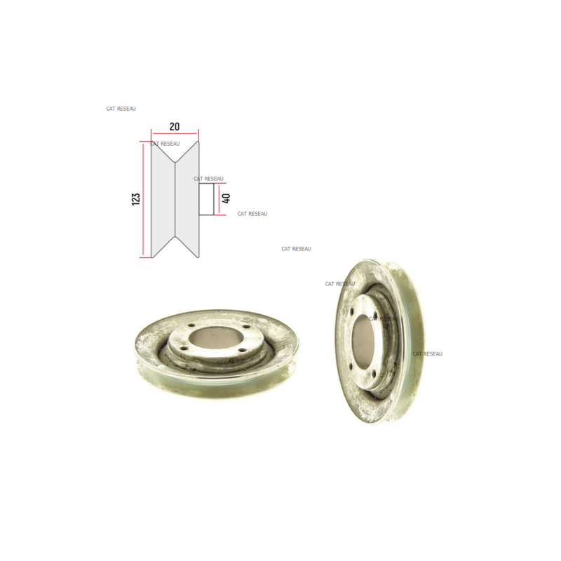 BELT PULLEY - ref. 1134473101 | TP Agri