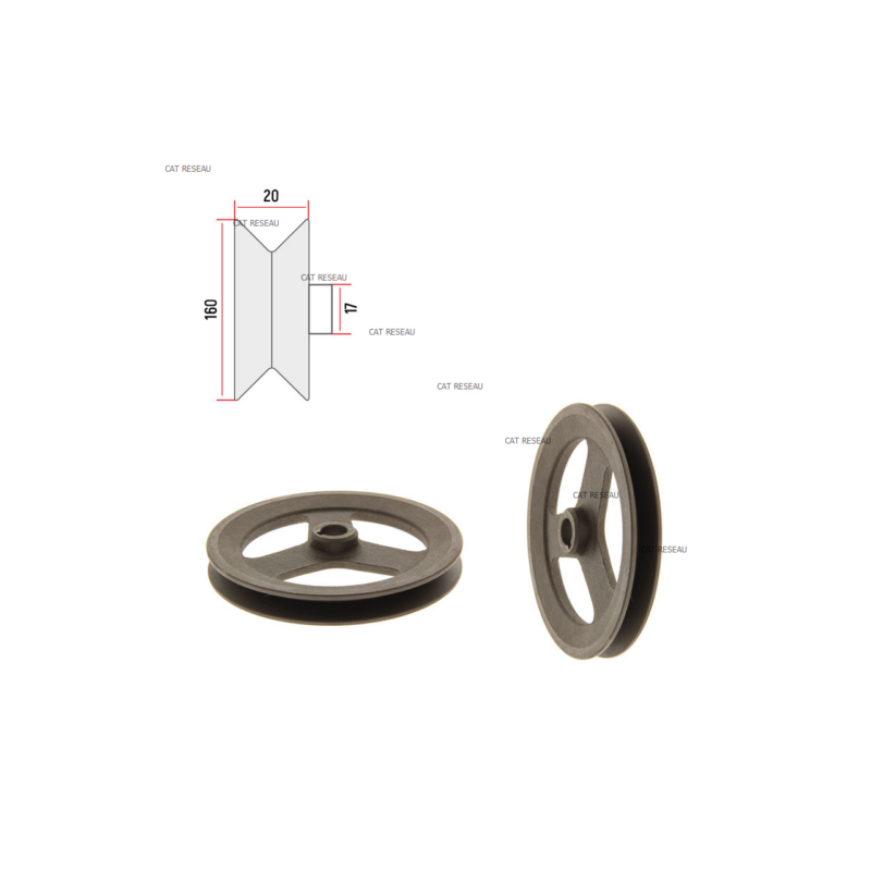 BELT PULLEY - ref. 1134473201 | TP Agri