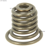 CHAIN SHIELD ASSY - ref. 1188050970 | TP Agri