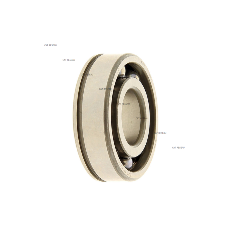 ROULEMENT A BILLES SPECIA - ref. 91002ZG3003 | TP Agri