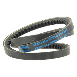 COURROIE CRANTEE XSZ51A-SD - ref. 958904 | TP Agri