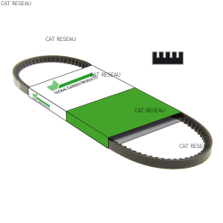 COURROIE CRANTEE POUR 102Cm - ref. 1350656050 | TP Agri