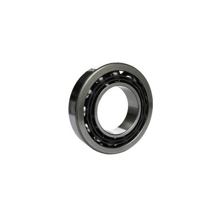 Roulement - ref. AJD/7317.B | TP Agri