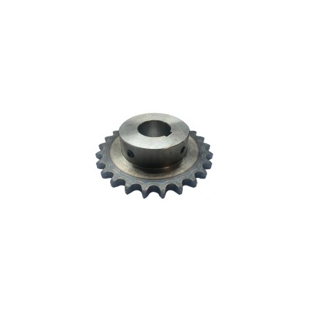 Pignon Simple Alés.24 + RC - ref. AJD/P19.05/1Z15.AL24 | TP Agri