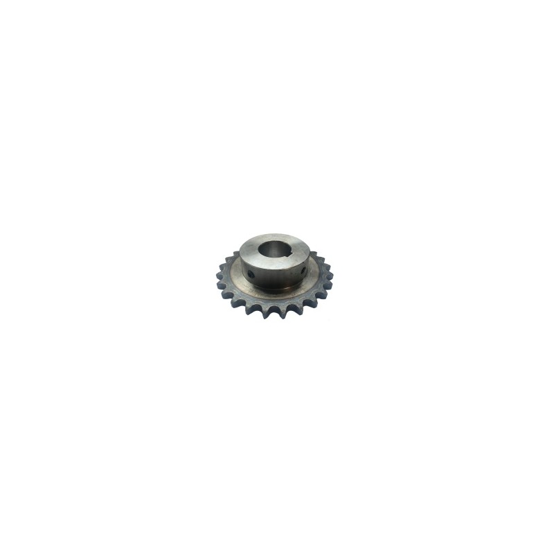 Pignon Simple Alés.28 + RC - ref. AJD/P19.05/1Z17.AL28 | TP Agri