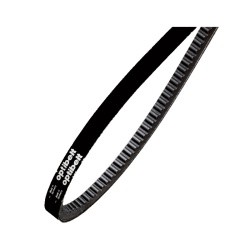 Courroie Crantée - ref. AJD/BX64 | TP Agri