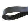 Courroie Adaptable Claas