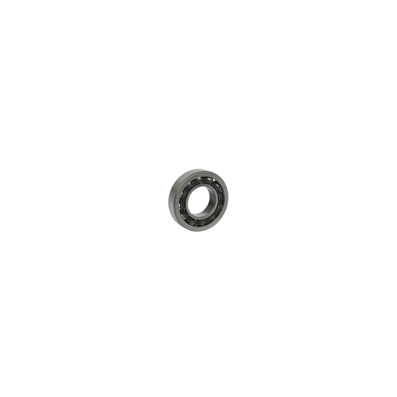 Roulement - ref. AJD/7304.B | TP Agri