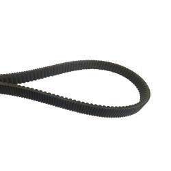 Courroie Adaptable Claas - ref. AJD/661AGRI429.0 | TP Agri