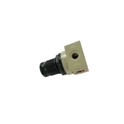 MR BIT Echapp.Rapide 1/4 02 - ref. AJD/5202001 | TP Agri