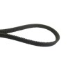 Courroie Adaptable Case - ref. AJD/413AGRI159A1 | TP Agri