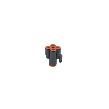 Double Y Inst.Egale 1X6-4X6