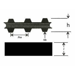 C.Synchrone Double Denture - ref. AJD/180DXL037 | TP Agri