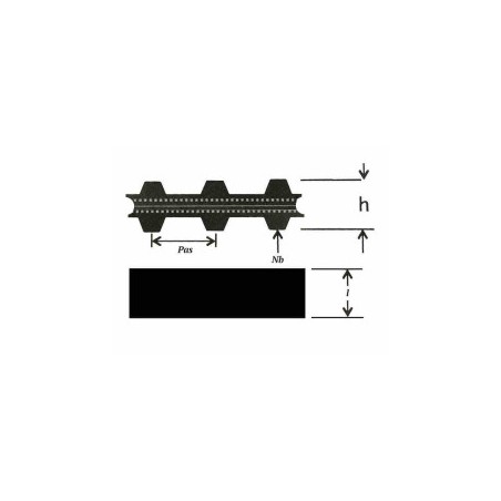 C.Synchrone Double Denture - ref. AJD/180DXL037 | TP Agri
