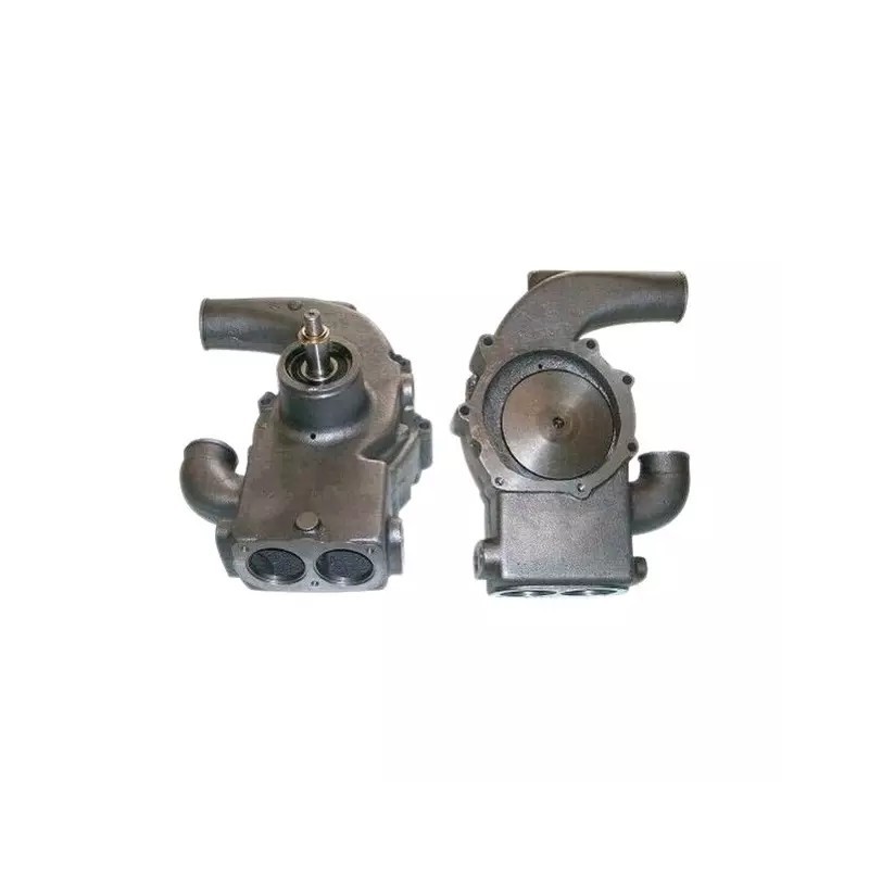 POMPE A EAU LANDINI-MF 41313027