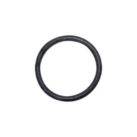 JOINT TORIQUE 10X100 MM F03011142R