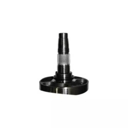 SUPPORT DE DENT DC LATERAL M38100301R