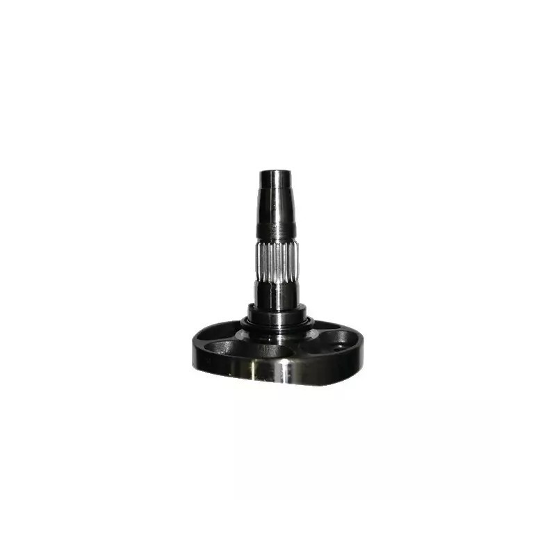 SUPPORT DE DENT DC LATERAL M38100301R