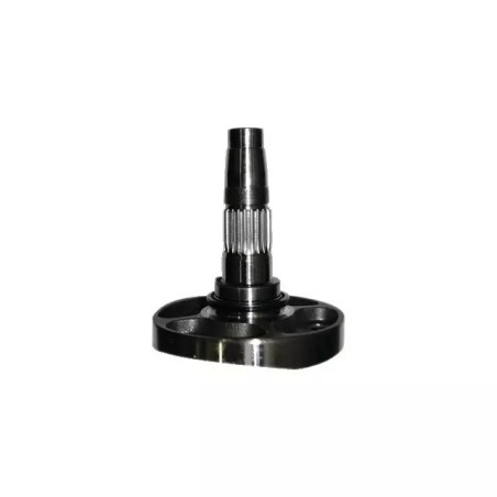 SUPPORT DE DENT DC LATERAL M38100301R