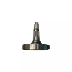 SUPPORT DE DENT DM LATERAL M36100332R