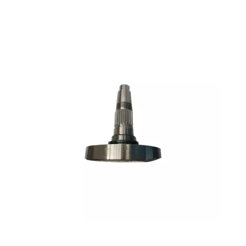 SUPPORT DE DENT DM LATERAL M36100332R