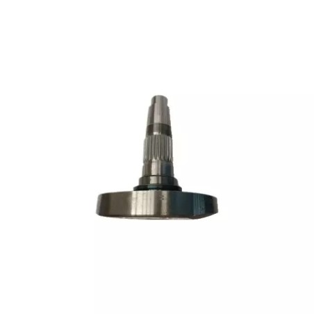 SUPPORT DE DENT DM LATERAL M36100332R