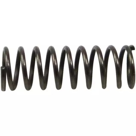 RESSORT DE ROUE LIBRE F02400084R (X8)