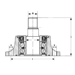Roulement HUB - ref. AJD/IL30-100/4T.M24X200 | TP Agri
