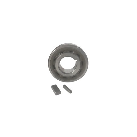 Roue Libre Tsubaki Clavet.Int. - ref. AJD/BB-20-2K-K | TP Agri