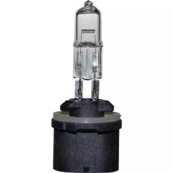 AMPOULE H885 12V 50W PG13