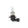 AMPOULE HALOGENE HB3 12V 65W CULOT P20D - ref. 1224328 | TP Agri