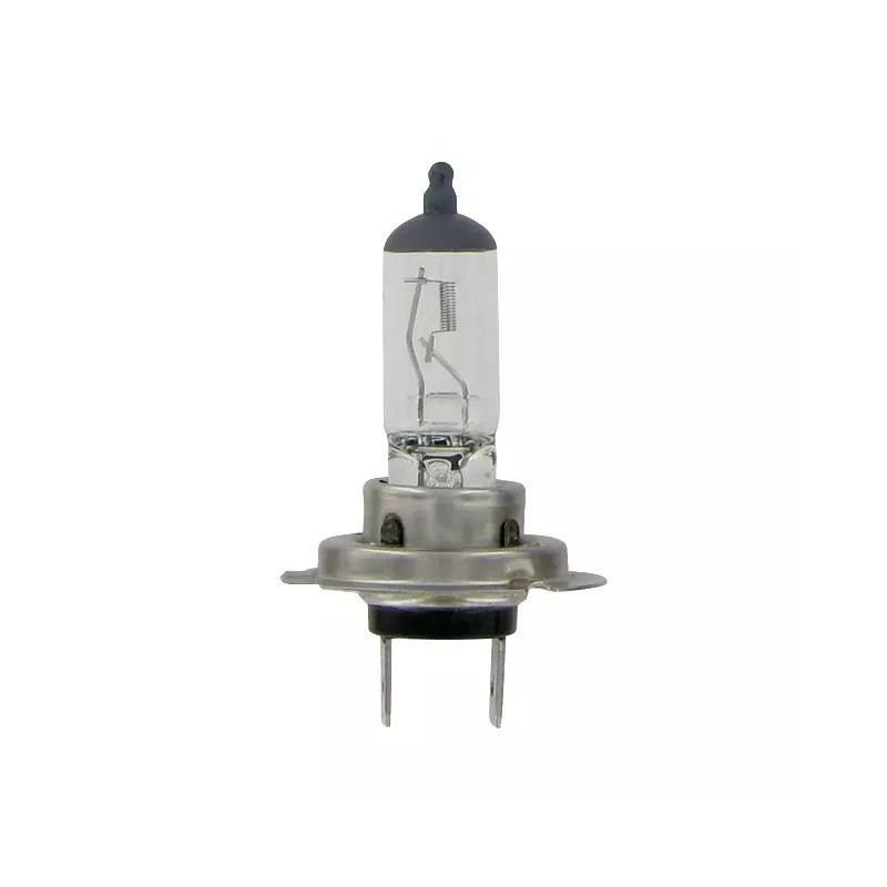AMPOULE H7 12V 55W